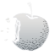 DNKW-icon-apple