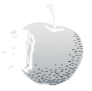 DEATH NOTE apple icon