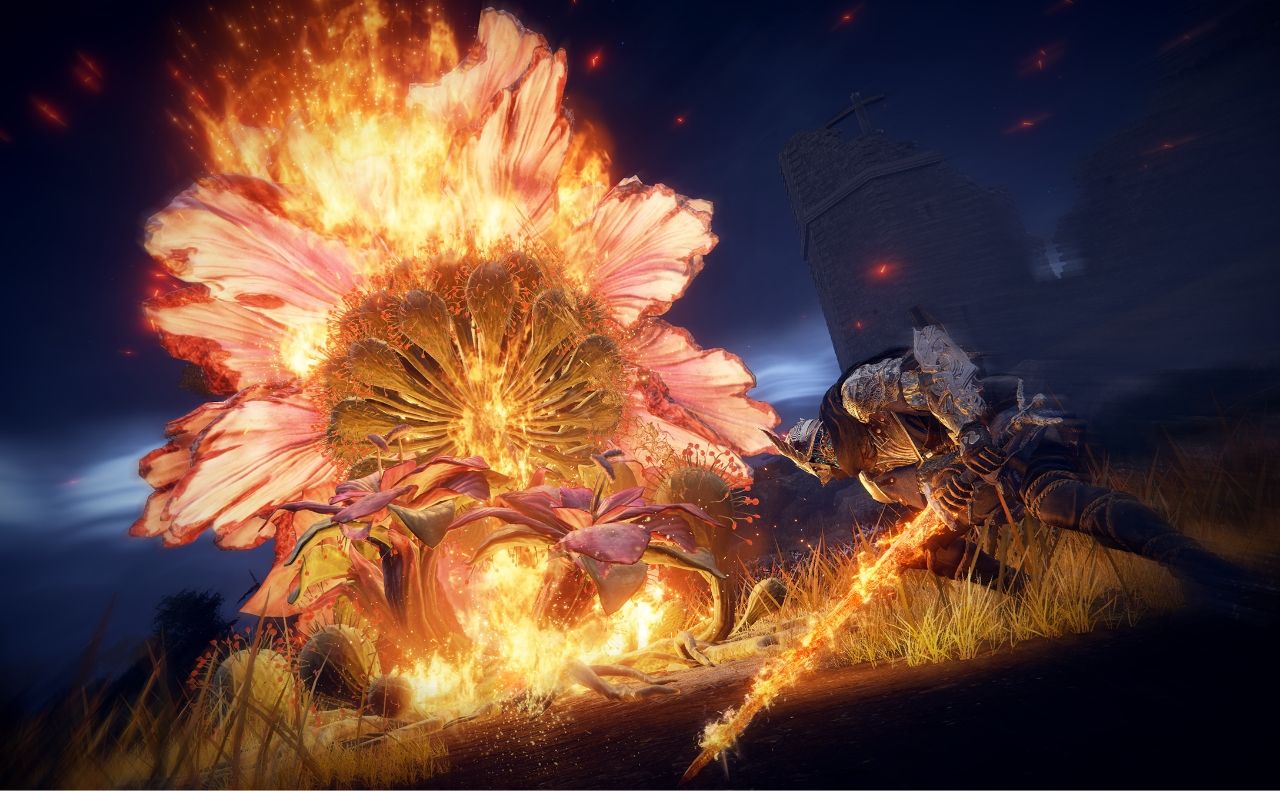 ER NIGHTREIGN Fighting Ennemies