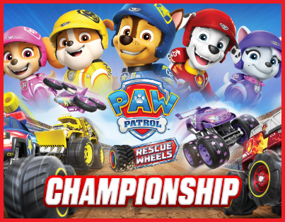 paw patrol 3ds