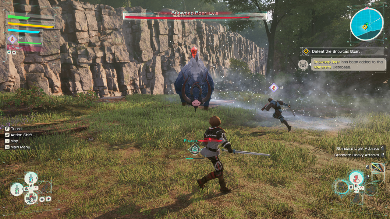 Battle with Boar Enemy