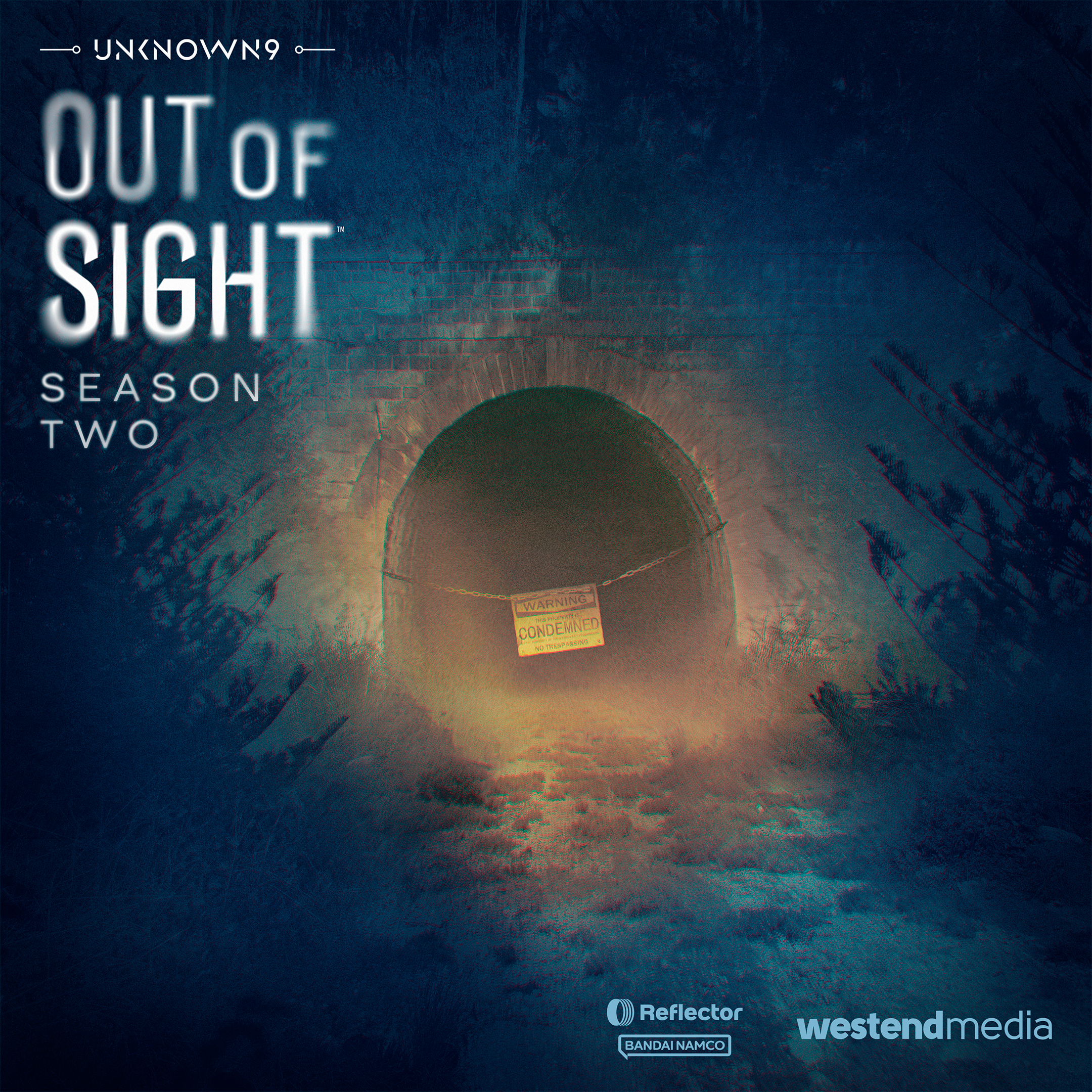Unknown 9: Out of Sight | The Anodyne Vase