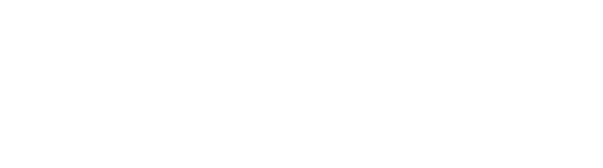 backforce logo